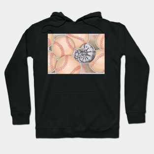 Axanthic Ball Python Hoodie